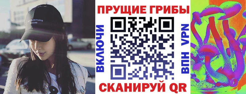 Псилоцибиновые грибы Psilocybine cubensis  Купить закладки  Кувшиново 